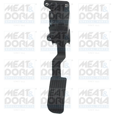 Accelerator Pedal Unit